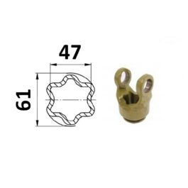Widłak profilowy zewnętrzny, gwiazda 61