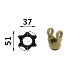 Widłak profilowy wewnętrzny, gwiazda 51